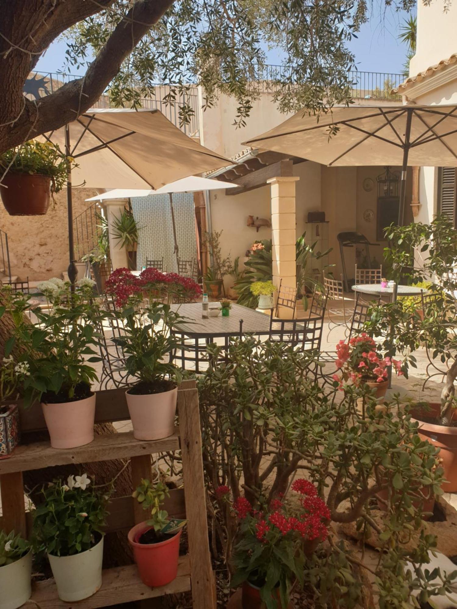 Hotel Segles - Turismo De Interior Campos  Ngoại thất bức ảnh