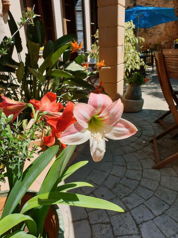 Hotel Segles - Turismo De Interior Campos  Ngoại thất bức ảnh
